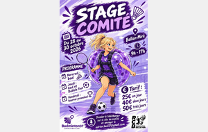 Stage multiactivités comité du 28 au 30 octobre 2026